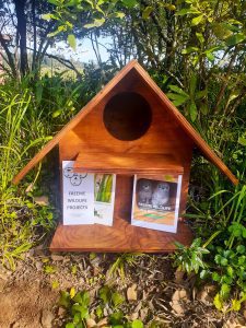 BARN OWL BOX