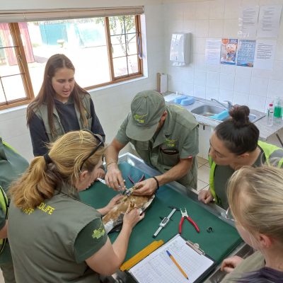 Student and Intern training