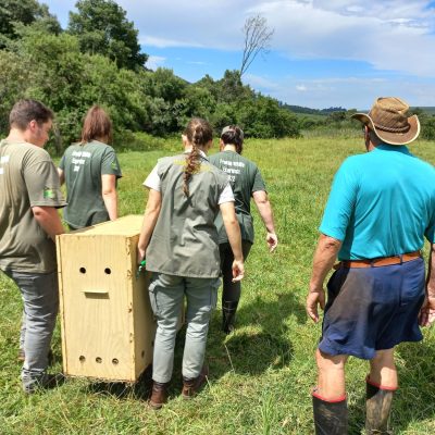 Wildlife life clinic students